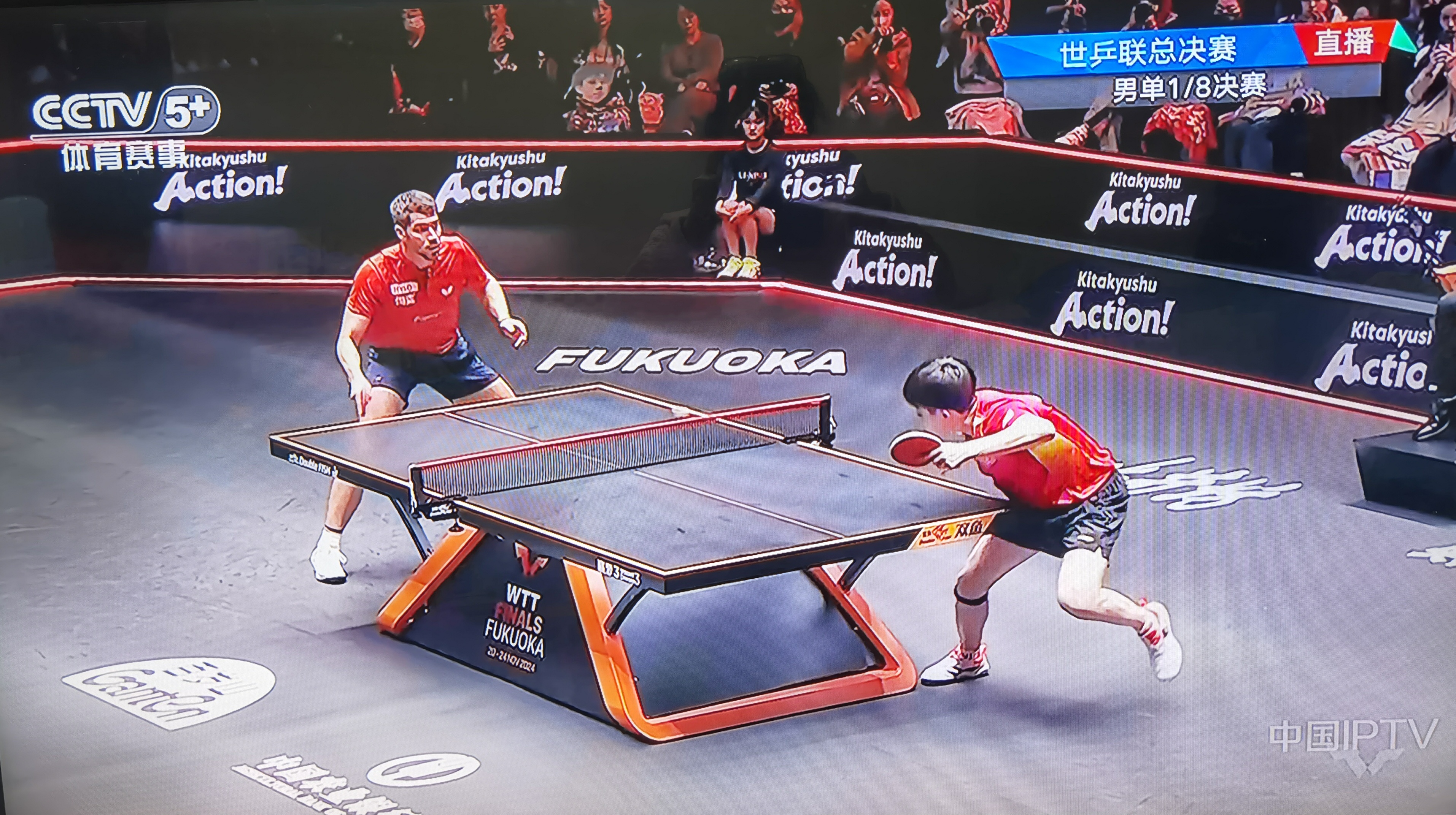 IM体育社区互动入口-比利时乒乓球队翻盘法国乒乓球队，马龙三分雨点燃全场
